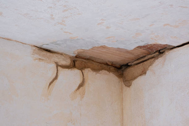 Best Sewage cleanup and water damage restoration  in Deadwood, SD