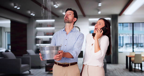 Best Residential water damage restoration  in Deadwood, SD
